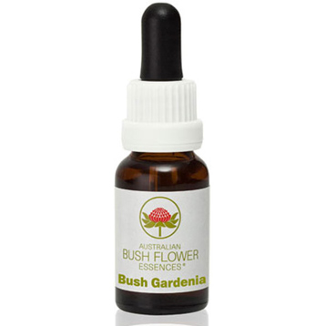 Bush Gardenia Essence