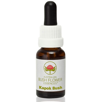 Kapok Bush Essence