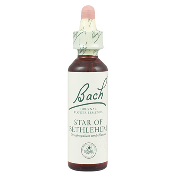 Star of Bethlehem