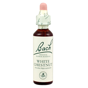White Chestnut