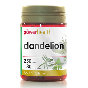 Dandelion